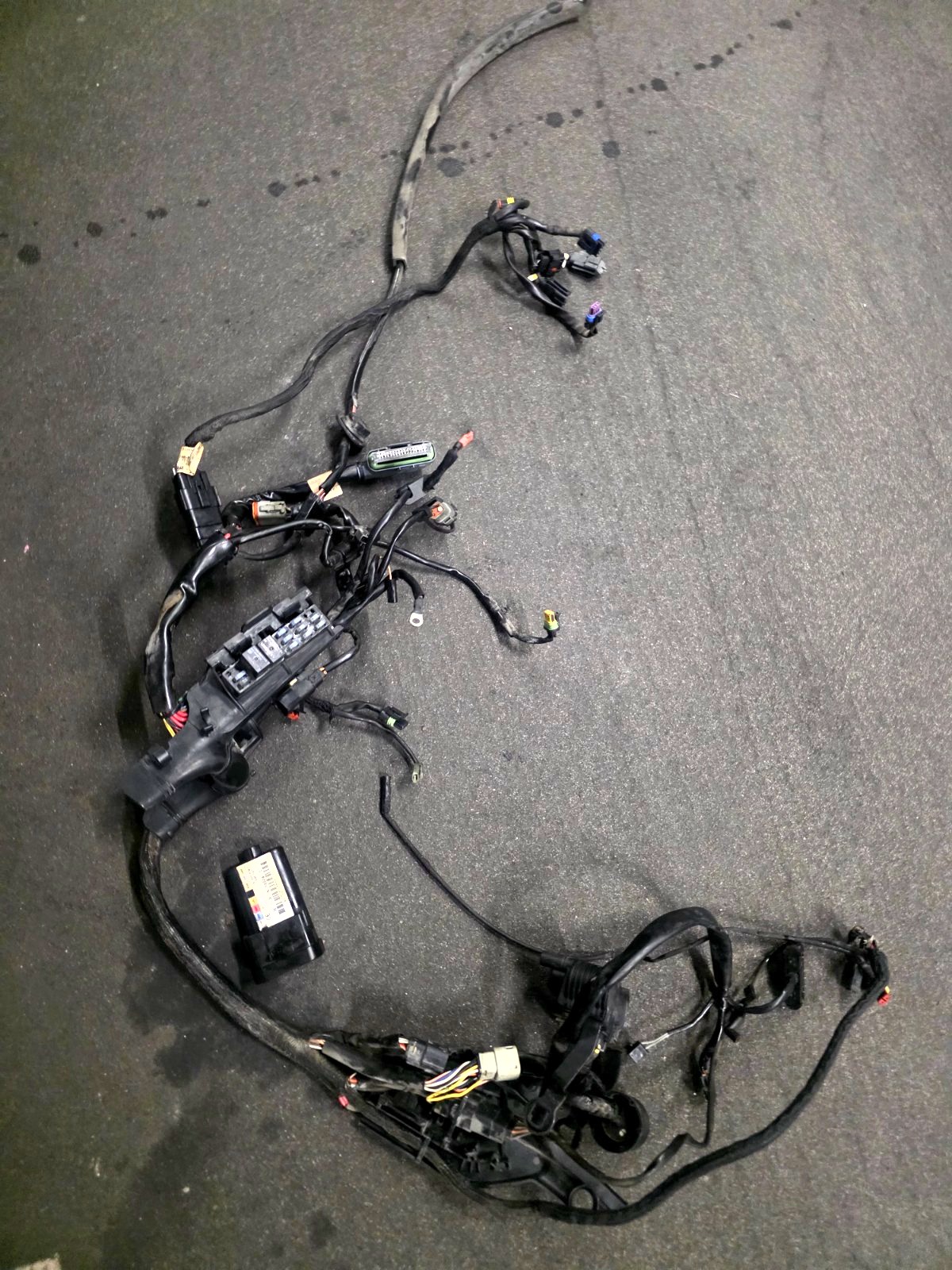 Cableado Completo Harley-Davidson Sportster EFI