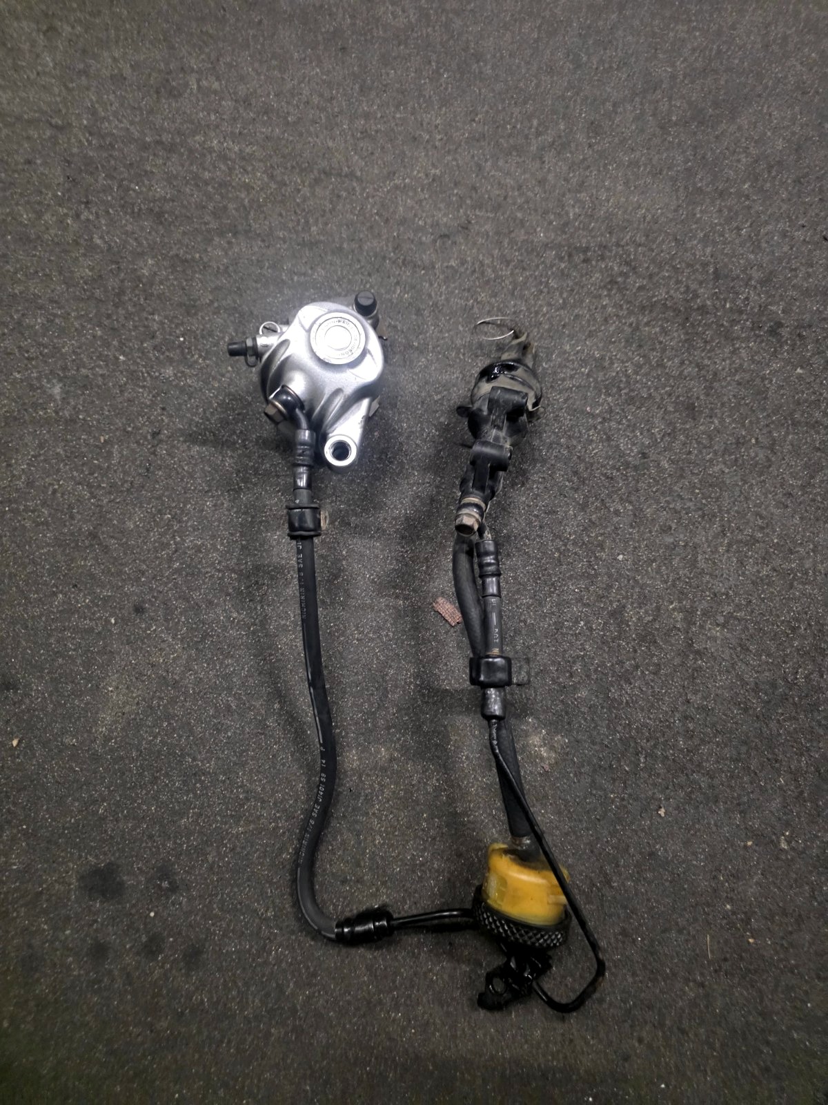 Conjunto freno trasero completo Harley-Davidson Sportster EFI